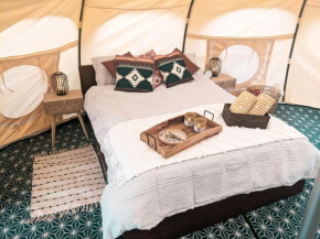 Immaculate LotusBelle Tent - North Devon